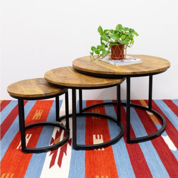 Darko_ Solid Indian Wood Stackable Coffee Table Set of 3_70 Dia cm
– Celson PTE Ltd 3