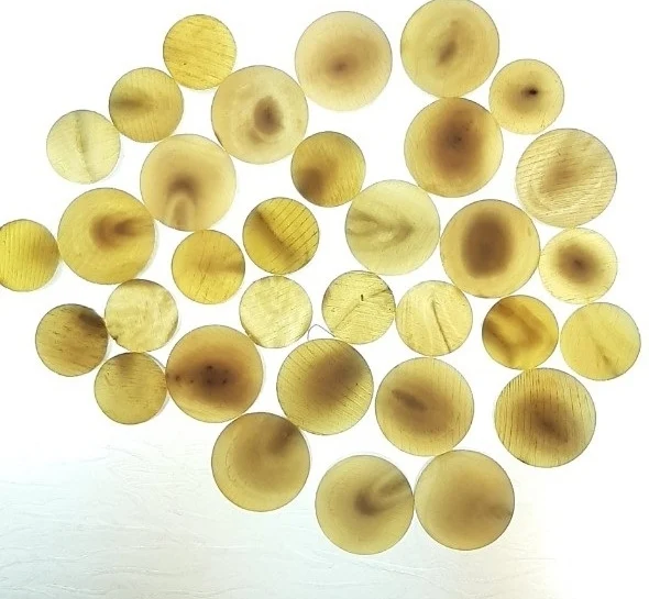 BUFFALO HORN BLANK BUTTON COLOR NO 01